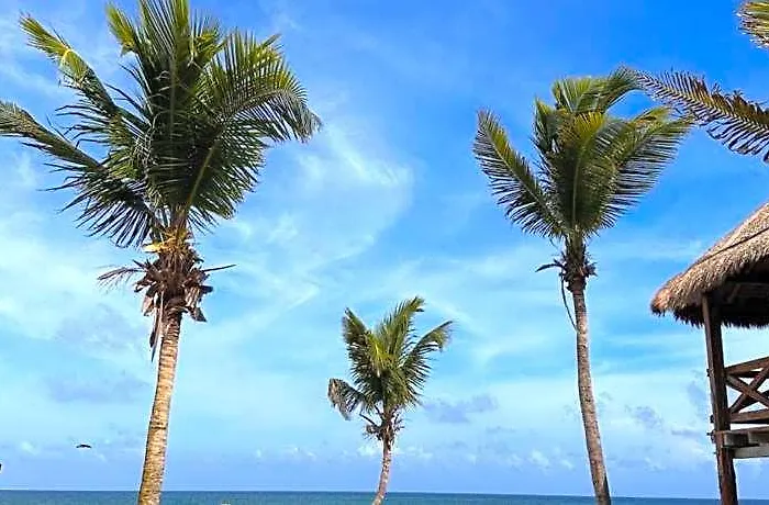 Hotel La Conchita (adults Only) Tulum